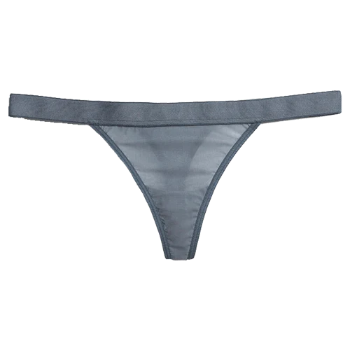 Silky Thong in Slate - Image 6